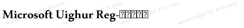Microsoft Uighur Reg字体转换